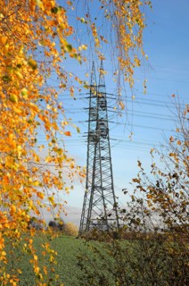 Electric overhead power pole in the field, power poles in the field, power lines, overhead power