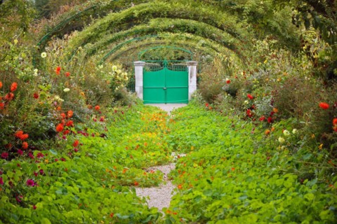 Monet's garden in Giverny, France, Monet's garden in Giverny, France, Europe