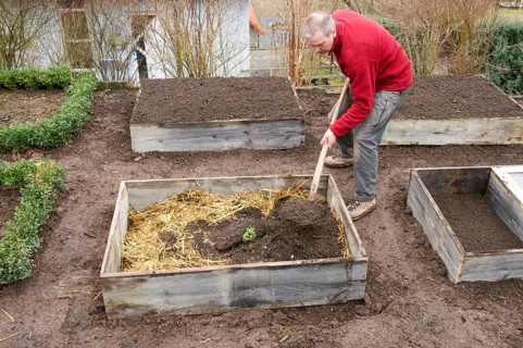Cold frame, manure bed, straw, manure and soil is filled in