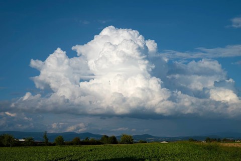 A large cumulus cloud in midsummer over a sugar beet field, in the background the Bavarian Forest