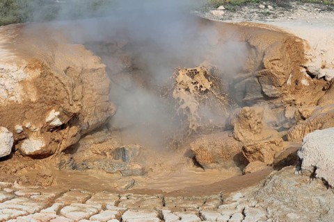 Mud volcano, Lower Geyser Basin, Yellowstone NP, USA, North America