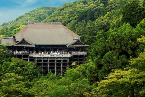 Distant view of Kiyomizu-dera temple nestled in green forest crowded with throngs of tourist
