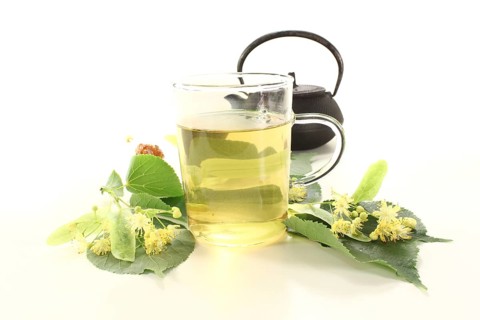 Fresh lime blossom tea with flowers against a light background