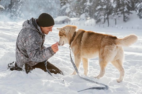 Full shot man with dog snow