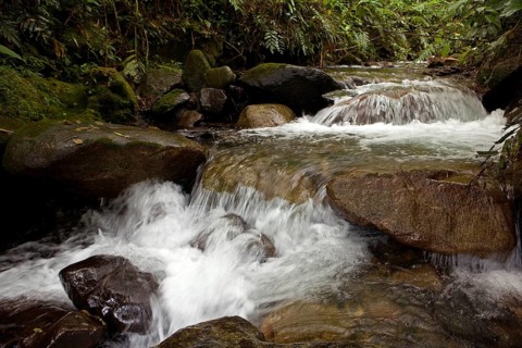 Waterfalls in Manu National Park in Peru