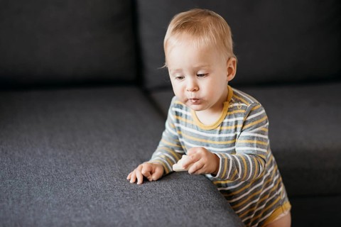Baby boy eating sofa