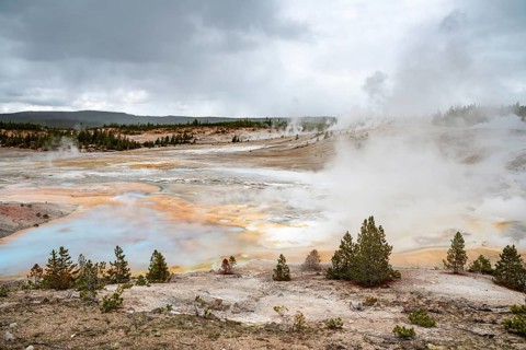 Norris Geyser Basin in Yellowstone National Park