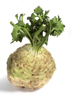 Root celery (apium graveolens), celeriac, umbelliferae, CELERIAC against white background