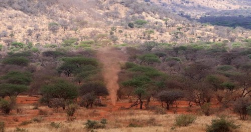 Dust Swirl, Small Tornado in the Savannah