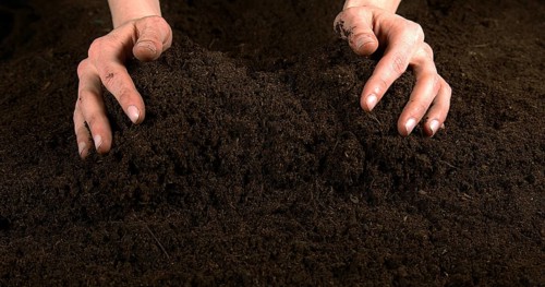 Handful of Soil