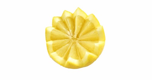 Yellow Lemon, citrus limonum against White Background