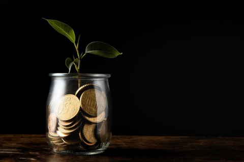 Front view plant growing from jar with coins copy space. High resolution photo