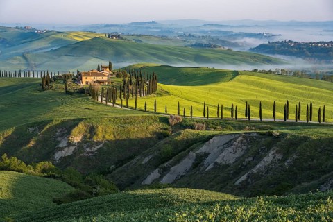 Country estate Agriturismo Baccoleno with cypress (Cupressus) avenue in the morning light, Asciano,