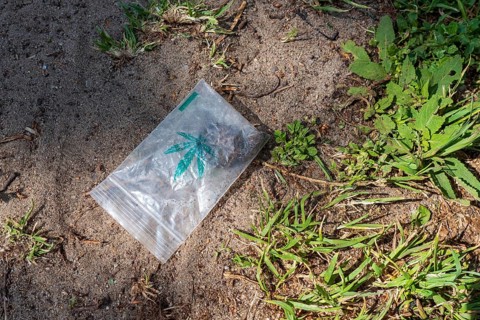 Germany, Berlin, 07. 05. 2020, plastic bag, cannabis_logo, Mauerpark, Europe