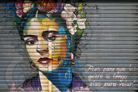 Frida Kahlo portrait on a garage door, Coyoacan, Mexico City