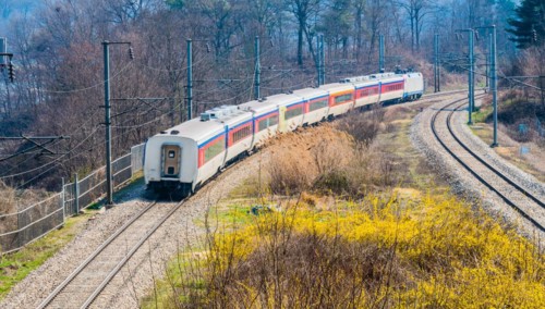 Train captured with slight motion blur passing through a woodland area in South Korea on a bright