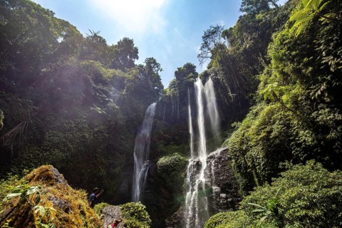 The Sekumpul waterfall, a large waterfall in the middle of the jungle that plunges into a deep