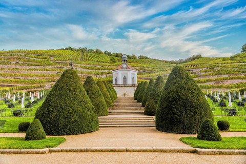 Belvedere Wackebarth Castle, baroque gardens, Saxon State Winery, Oberlößnitz, Radebeul, Saxony,
