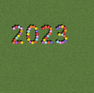 Year 2023 on clover meadow