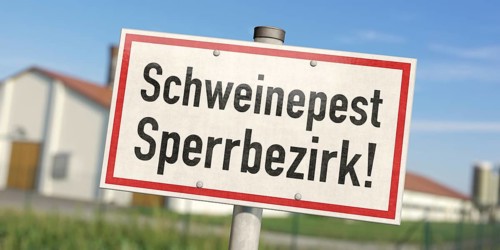 Swine fever, restricted area, sign, warning, sign, symbol, closed, district, region, CSF, European