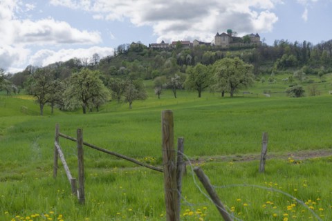 View of the old town and the castle, Waldenburg, Waldenburg mountains, spring, April, Hohenlohe,