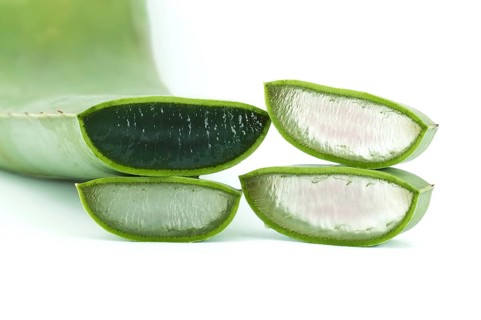 Aloe vera leaf slices isolated on white background, natural organic cosmetic ingredients for