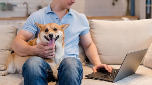 Front view man working while holding dog