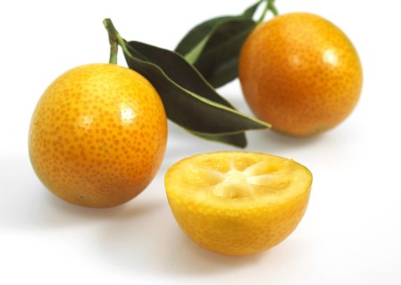 Kumquat (fortunella margarita), Fruits against White Background