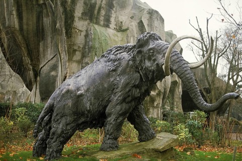 Woolly mammoth (mammuthus primigenius), Woolly mammoth Furry Mammoth, Mammoth, extinct, elephants,