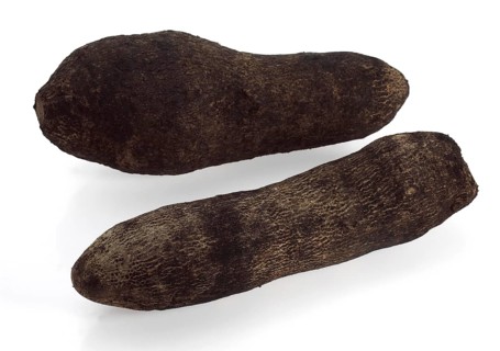 Yam (dioscorea) against White Background