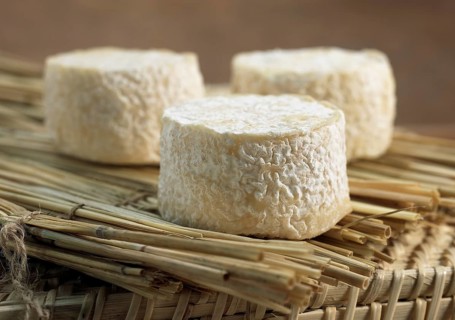 French cheese called Crottin, cheese made from goat's milk