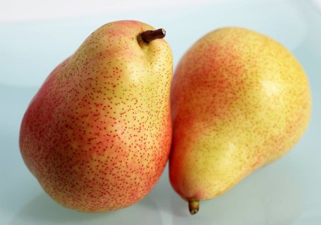 Cultivated pear, Pear, Rosaceae, Rosemary Pear (pyrus communis)