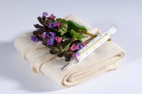 Common lungwort (Pulmonaria officinalis), clinical thermometer, mercury thermometer