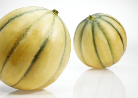 Cavaillon Melon (cucumis melo), Fruits on White Background