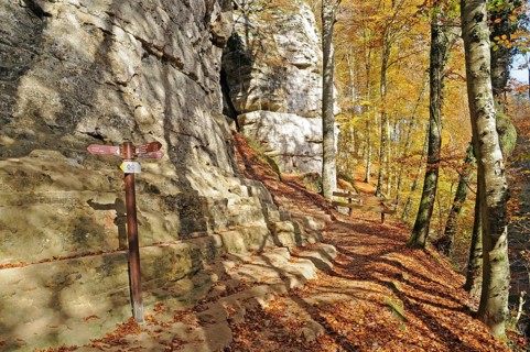 Hiking trail, Hiking area, Mullerthal, Little Luxembourg Switzerland, Municipality of Mullerthal,