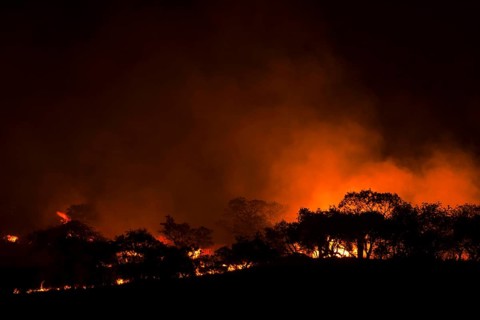 Bushfire, KwaZulu-Natal, South Africa, Fire, Africa