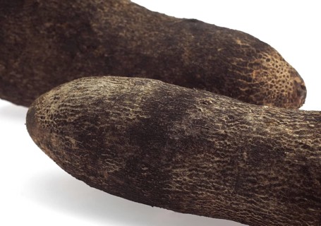 Yam (dioscorea) against White Background