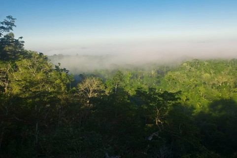 Haze over rainforest, Cristalino State Park, near Alta Floresta, Mato Grosso, Brazil, Amazonia,