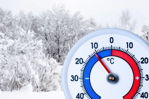 Thermometer below minus ten degrees Celsius, snow-covered bushes and trees