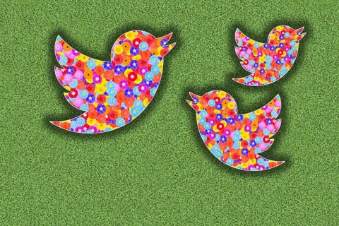 Twitter X logo with flower design on green background, illustration, graphic, floral pattern,