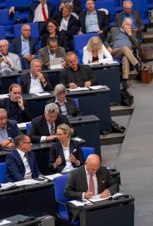 2nd row, from left to right: Tino Chrupalla, Dr Alice Weidel, top right, penultimate row Dr