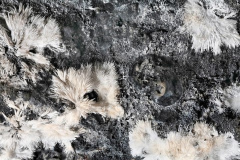 Mineral Rapidcreekit, location Saalfelder Feengrotten, Thuringia Germany