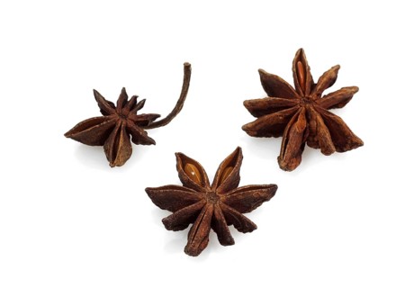Badian or star anise (illicium verum) against a white background