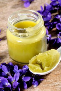 Wood violet (Viola odorata), sweet violet, fragrant violet, violet ointment