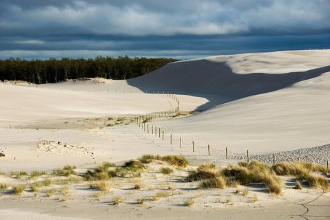 Travelling Dune, Slowinski, Slowinski National Park, Leba, Pomerania, Poland, Europe