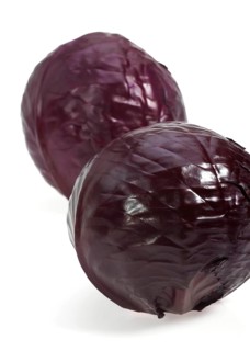 Red Cabbage (brassica) oleracea, Vegetable against White Background