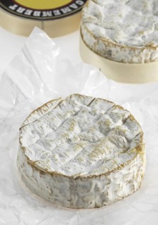 Camembert, French cheese made from cow's milk from Normandy