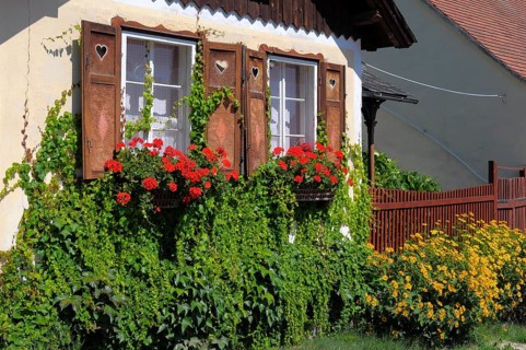 Austria, Wachau, Krems, country garden, perennial garden in bloom, small house with flowering
