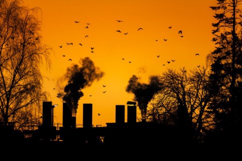 Birds flying over the dark smoke comming from the chimneys of an old factory