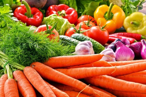 Composition with variety of fresh organic vegetables